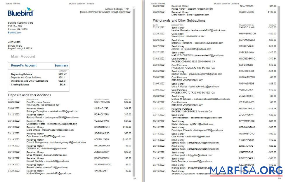 Downloadable USA Bluebird bank statement word 3 pages, version 2 template